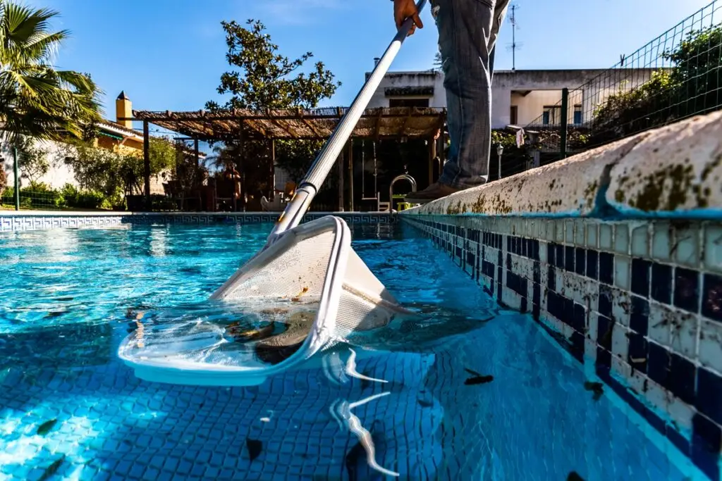 pool cleaning