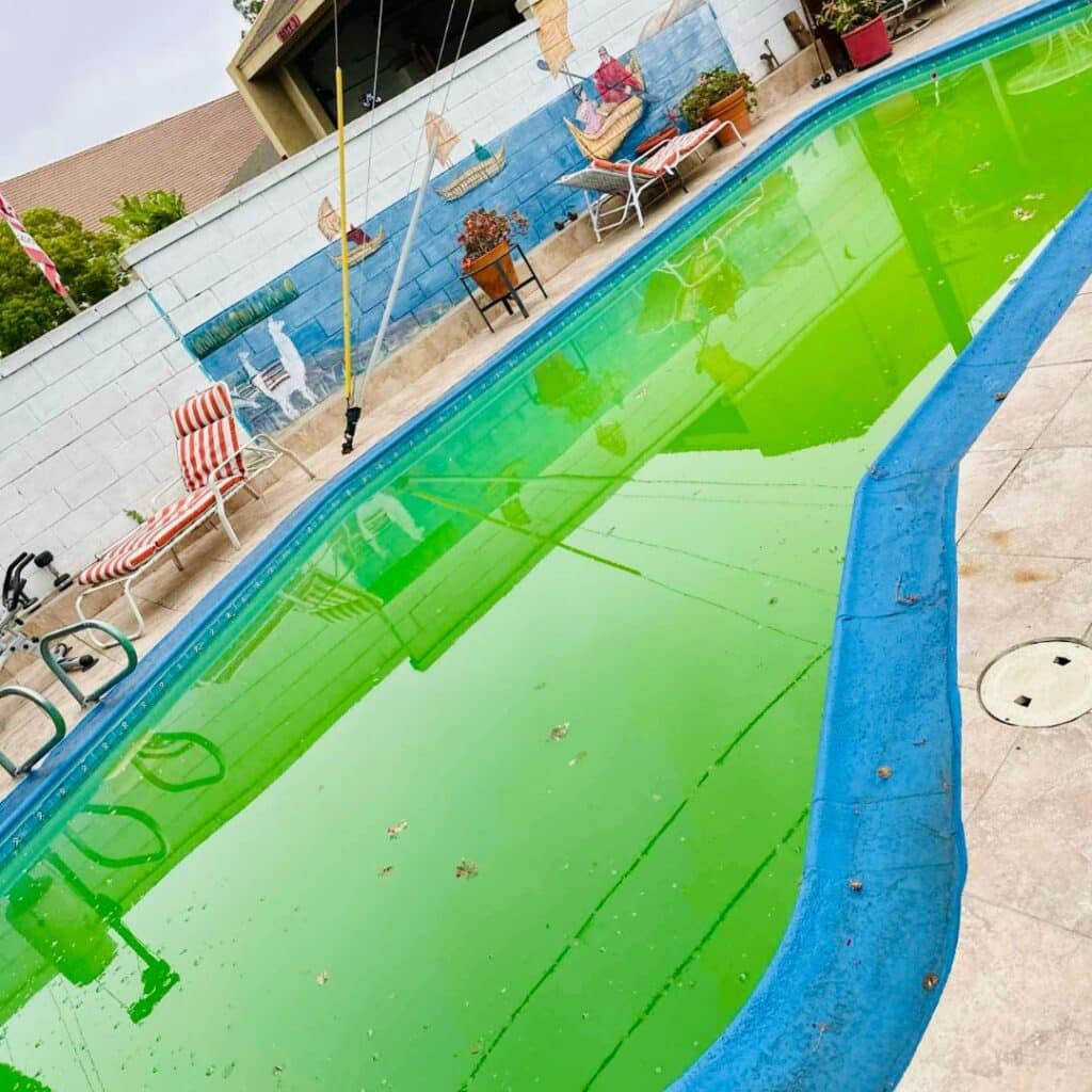 pool with algae growth