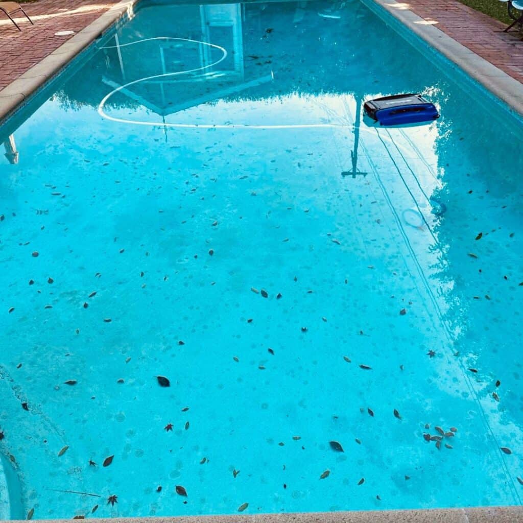 pool with debris in it